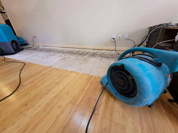 Professional Water Damage Repair technician working in Thomson, GA
